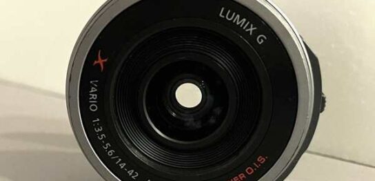 【レンズ買取】パナソニック Panasonic LUMIX G VARIO 14-42mm F3.5-5.6 H-PS14042 カビの査定価格