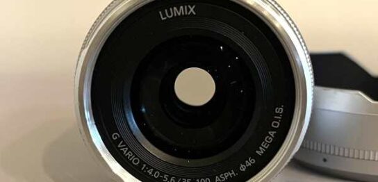 【レンズ買取】パナソニック Panasonic LUMIX G VARIO 35-100mm F4.0-5.6 H-FS35100 カビの査定価格